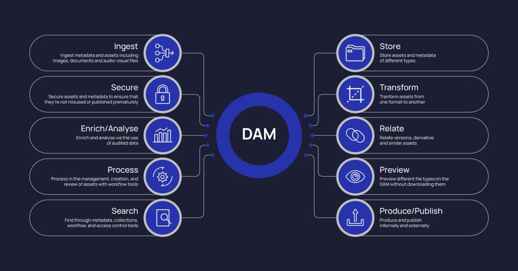  Digital Asset Management System (DAM) | Anchanto